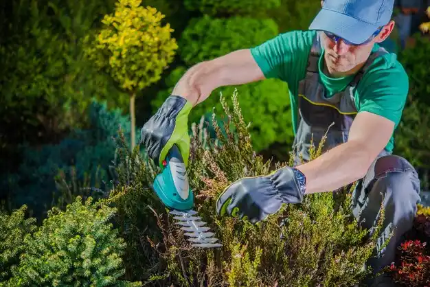 landscaping services Denham Springs